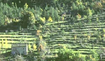 Paysage en C�vennes ; Un mas c�venol sur des bancels